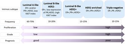 The potential role of nanomedicine in the treatment of breast cancer to overcome the obstacles of current therapies